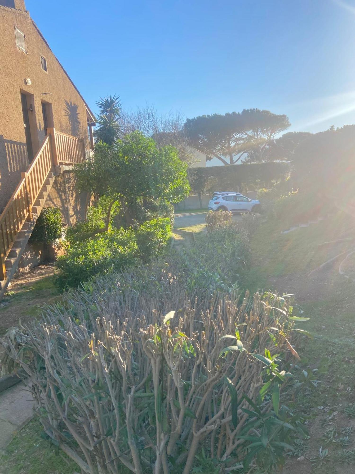 Tres Bel Appartement Les Pieds Dans L'Eau Appietto Buitenkant foto
